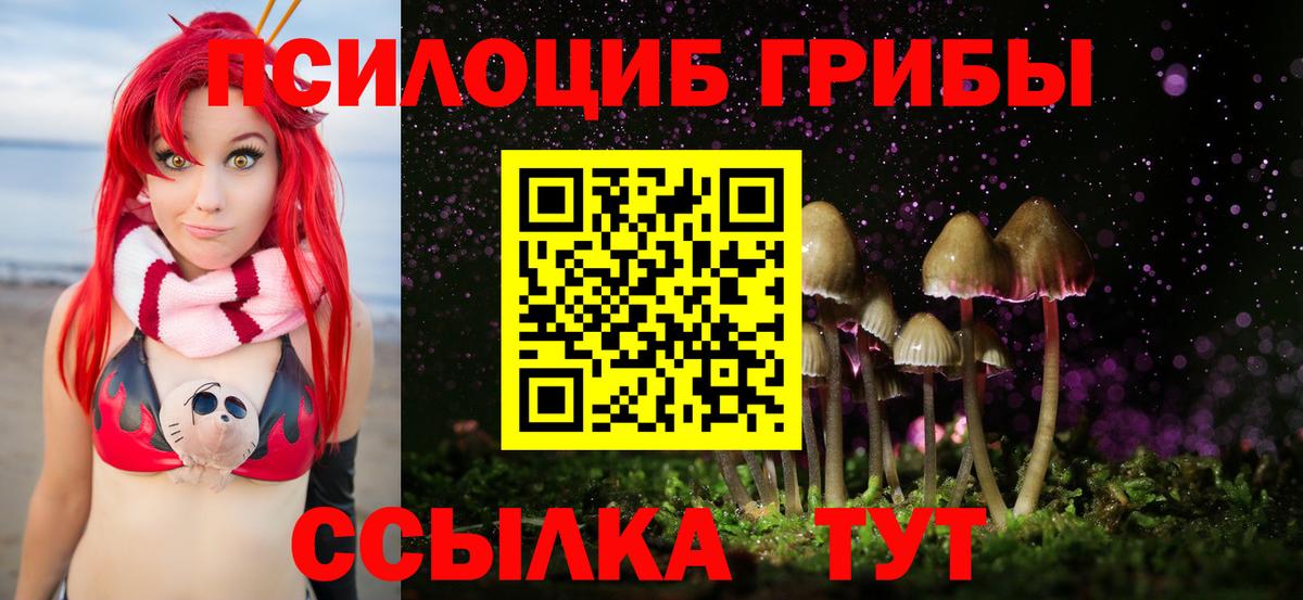 Галлюциногенные грибы Magic Shrooms Сосновоборск