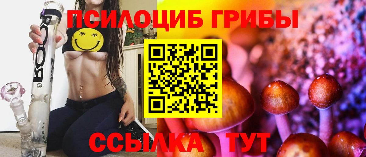 Галлюциногенные грибы мицелий  Вход с VPN  хочу   Сосновоборск  Псилоцибиновые грибы GOLDEN TEACHER 